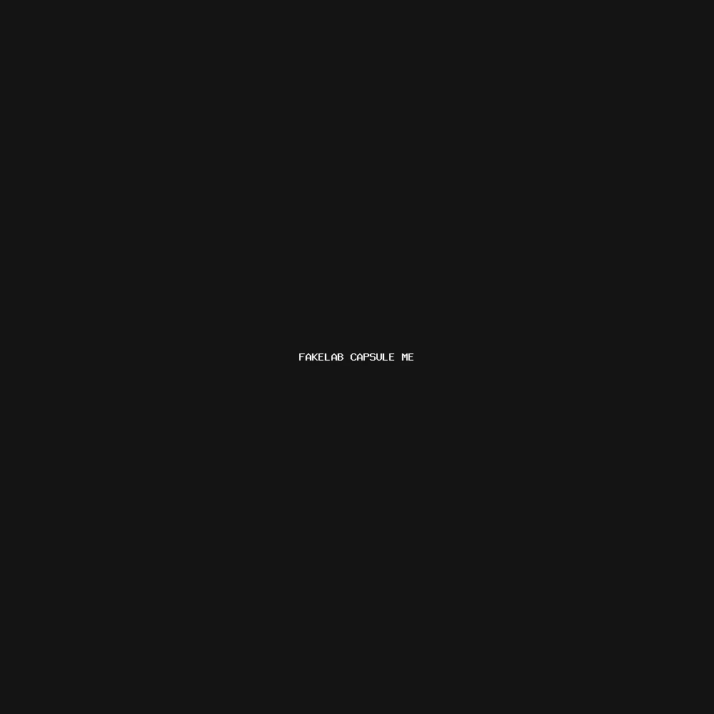 FakeLab Capsule Merch